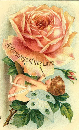 Felicitari de dragoste - Dragoste trandafir - mesajedelamultiani.info