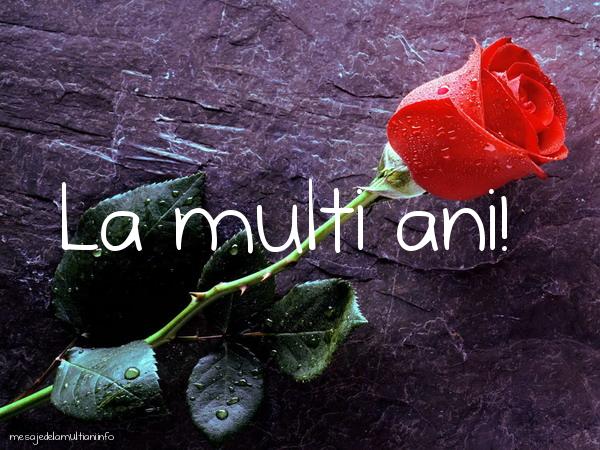 Felicitari de La Multi Ani - La multi ani flori - mesajedelamultiani.info