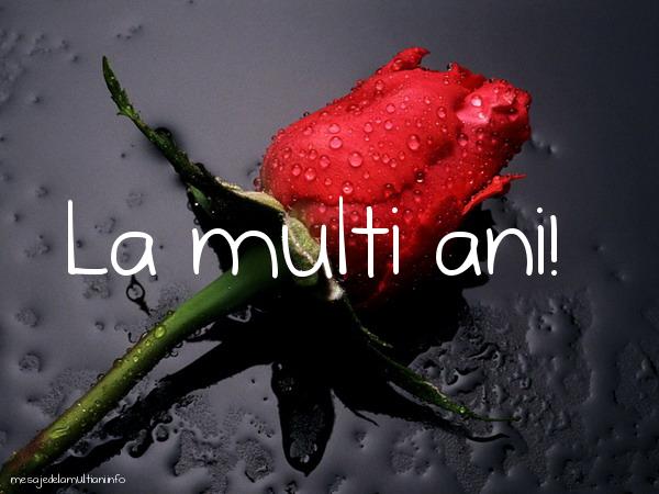 Felicitari de La Multi Ani - La multi ani flori - mesajedelamultiani.info
