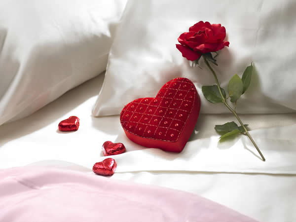 Felicitari  - Un Valentine's Day in care iubirea sa va inconjoare! - mesajedelamultiani.info